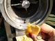 Mango Juice Processing Machine 500-1000kgs/H de SUS304 el 55%
