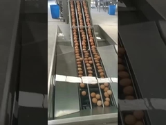 máquina para romper huevos de tipo vertical