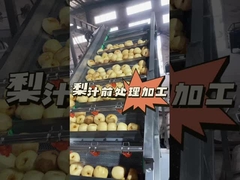 Cómo realizar el preprocesamiento del jugo de pera