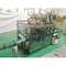 Cadena de producción automática completa del Juicer de la fruta SUS304 de acero inoxidable