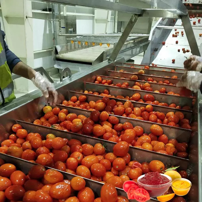 Venta en caliente Completa planta de producción de tomate personalizada Nueva máquina de procesamiento de omate / jugo de tomate / salsa / pulpa con PLC SUS304 / 316