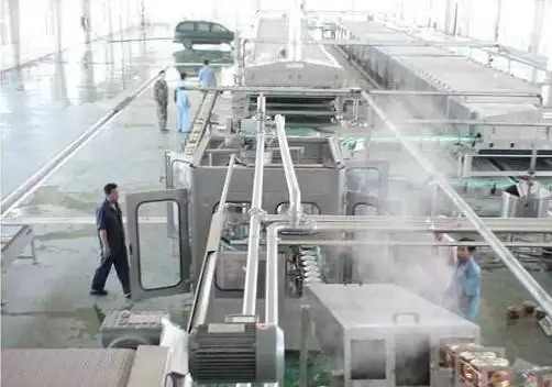 Línea de procesamiento de jengibre personalizada de alto rendimiento Maquina de planta de producción de zanahoria / jengibre / remolacha para la industria de verduras con PLC