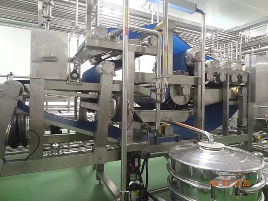 Línea completa de procesamiento de la col rizada Planta de producción de apio/col rizado/pepinos Equipo personalizado para la industria hortofrutícola