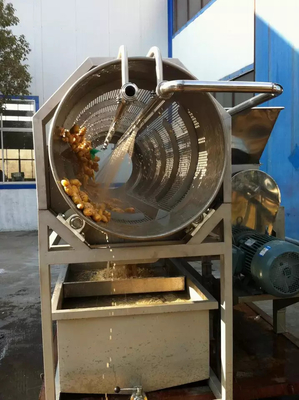Línea completa de procesamiento de la col rizada Planta de producción de apio/col rizado/pepinos Equipo personalizado para la industria hortofrutícola
