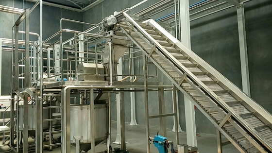 Línea completa de procesamiento de la col rizada Planta de producción de apio/col rizado/pepinos Equipo personalizado para la industria hortofrutícola