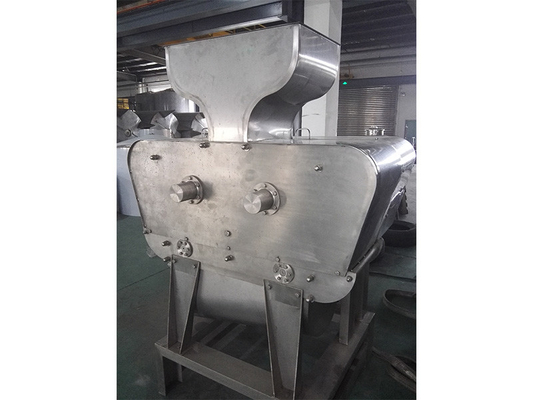 Línea completa de procesamiento de la col rizada Planta de producción de apio/col rizado/pepinos Equipo personalizado para la industria hortofrutícola