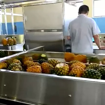 Línea completa de procesamiento de piña de alto rendimiento Máquina de planta de producción de piña personalizada con PLC para la industria de la fruta