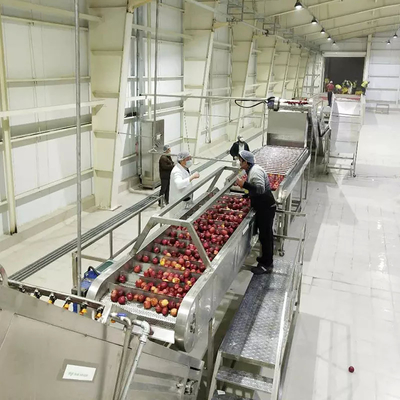 Alto costo de rendimiento línea completa de procesamiento de peras personalizada planta de producción de manzanas y peras zumo de peras equipo máquina de pulpa de peras