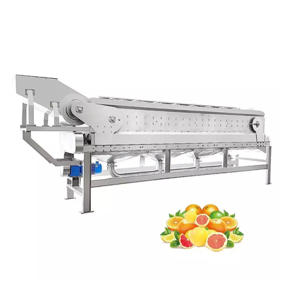 Todo automático máquina de jugo de naranja personalizable nueva máquina de procesamiento de jugo máquina completa de procesamiento de frutas