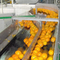 Línea de producción industrial de jugo de cítricos de naranja automática