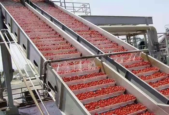 Línea de procesamiento de arándanos personalizada de alto rendimiento Planta de producción de arándanos / fresas / frambuesas Jugo de arándanos / pulpa / mermelada Máquina con PLC