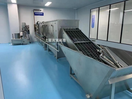Planta de procesamiento de huevos líquidos con maquinaria de llenado de pasteurizantes de rotura y separación