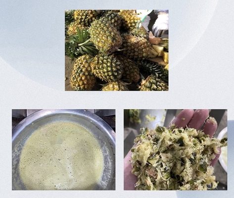 Máquina de extracción de jugo de piña por presión de tornillo fábrica industrial