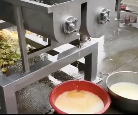 Máquina de extracción de jugo de piña por presión de tornillo fábrica industrial